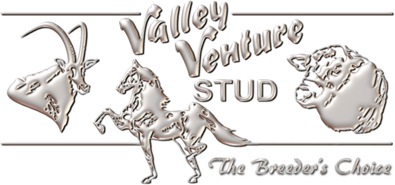Valley Venture Stud